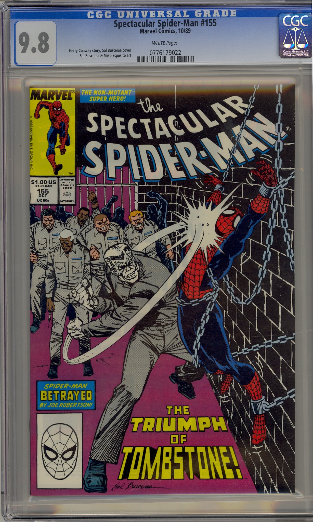 Spectacular Spider-Man #155 (1989)